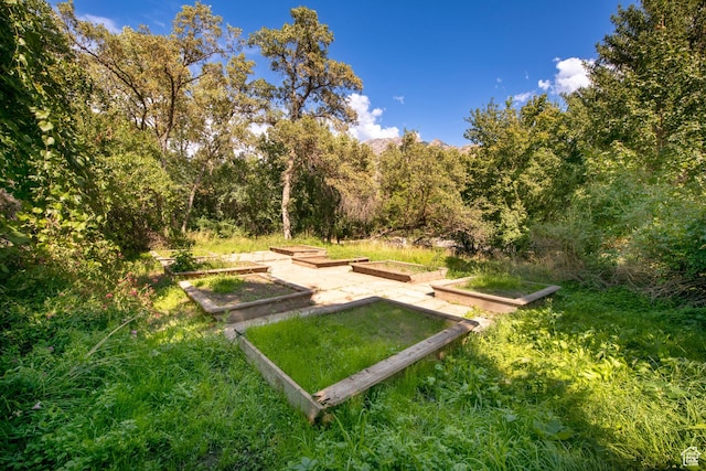 2633 E 6200 S, Holladay, UT 84121 - view of yard with a garden