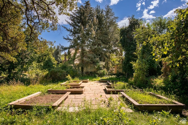 2633 E 6200 S, Holladay, UT 84121 - view of yard with a garden