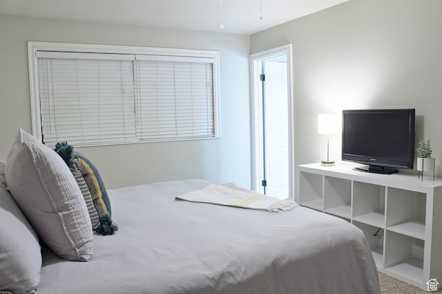 715 W 1600 N, Mapleton, UT 84664 - bedroom with carpet