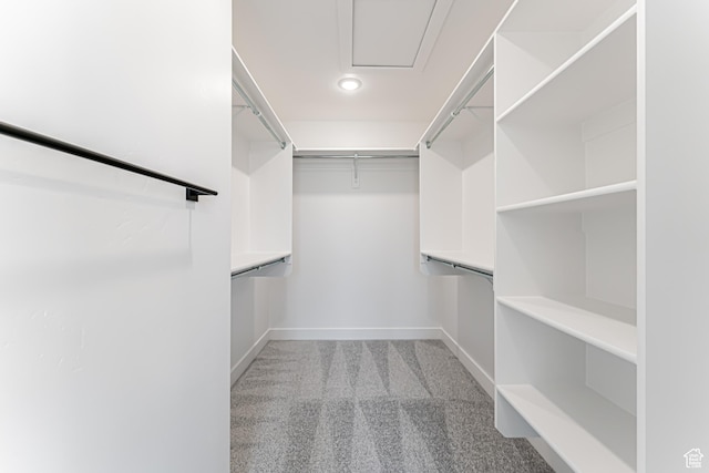 652 W Salvia Dr Unit 2144, Saratoga Springs, UT 84045 - spacious closet featuring carpet floors