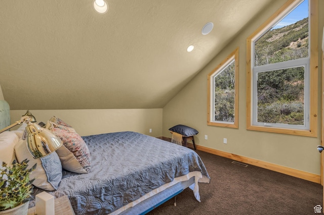 5404 Mountain Vw, Kamas, UT 84036 - carpeted bedroom with a textured ceiling, baseboards, lofted ceiling, and visible vents
