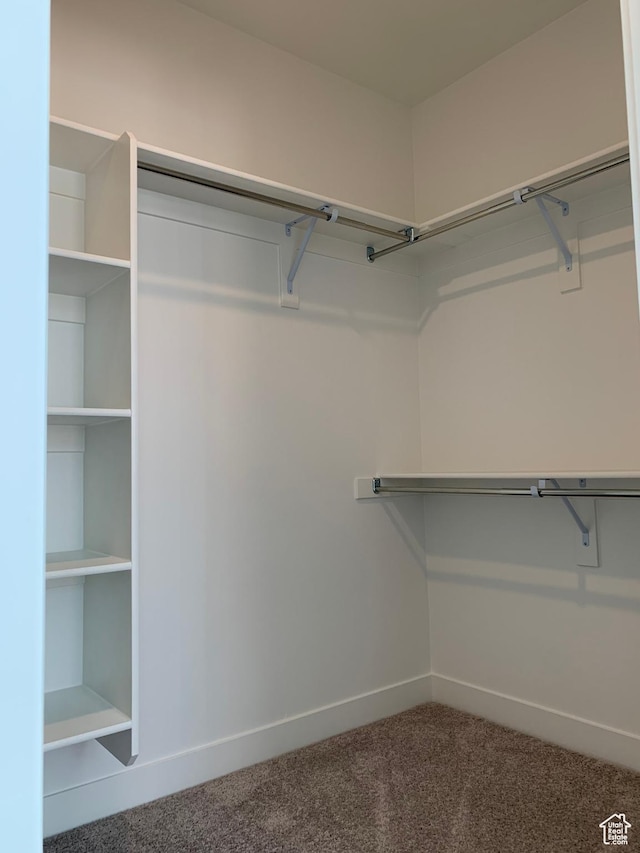 spacious closet with carpet flooring