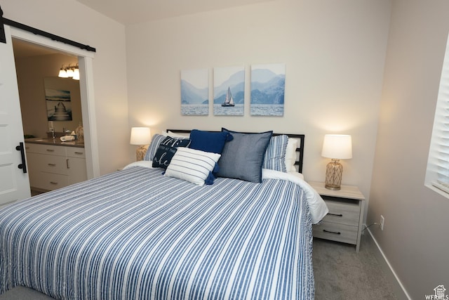 553 S 100 W Unit 203, Richfield, UT 84701 - bedroom featuring carpet floors and a barn door