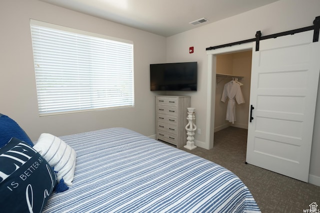 553 S 100 W Unit 203, Richfield, UT 84701 - carpeted bedroom featuring a barn door, a walk in closet, and a closet