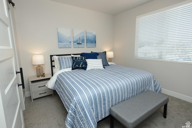 553 S 100 W Unit 203, Richfield, UT 84701 - bedroom with carpet floors and baseboards