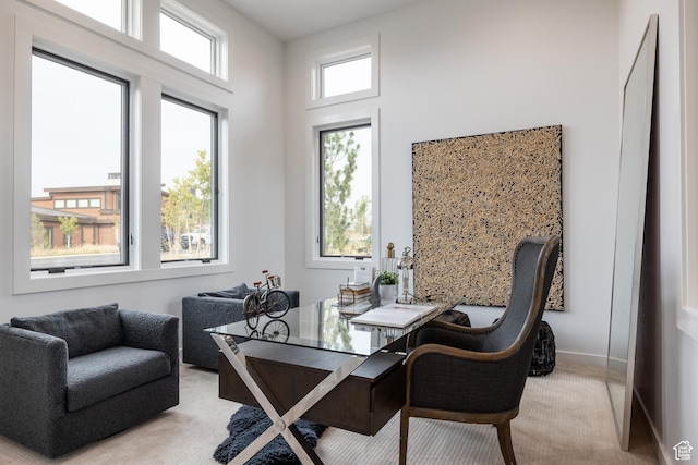 home office with light colored carpet and baseboards