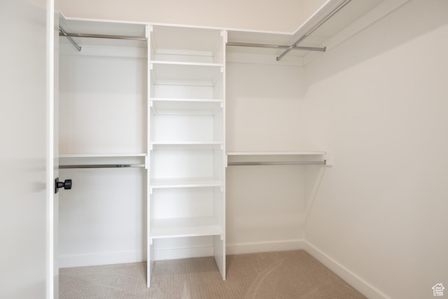 walk in closet with carpet
