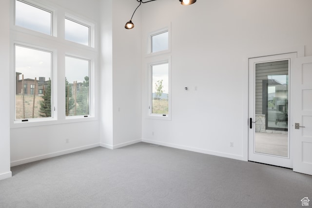 spare room with a healthy amount of sunlight, carpet flooring, and a high ceiling
