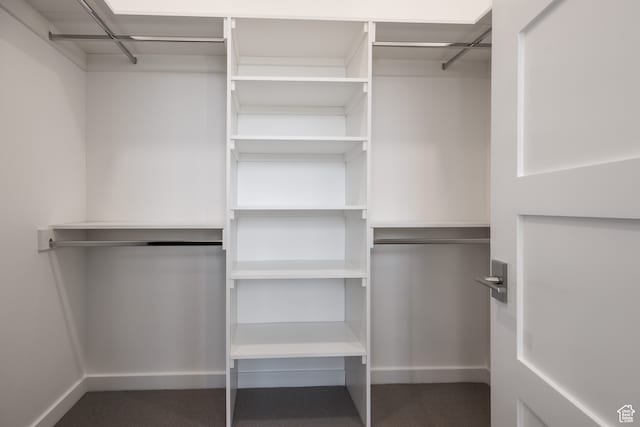 view of walk in closet