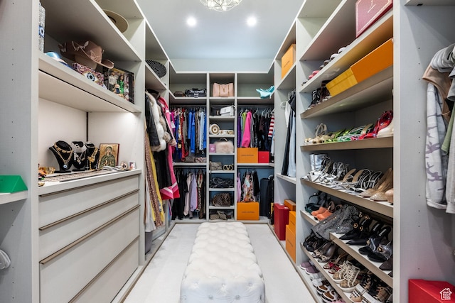 405 N Virginia St, Salt Lake City, UT 84103 - view of walk in closet