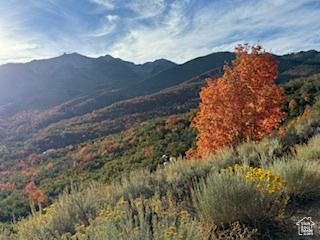 6909 E Spring Mountain Dr E, Springville, UT 84663