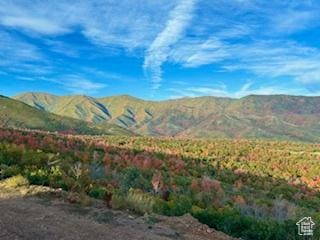 6909 E Spring Mountain Dr E, Springville, UT 84663