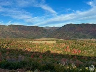 6909 E Spring Mountain Dr E, Springville, UT 84663