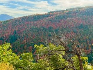 6909 E Spring Mountain Dr E, Springville, UT 84663