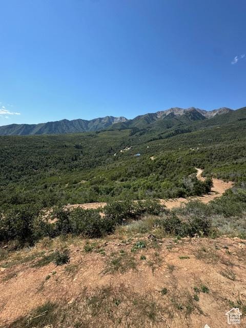 6909 E Spring Mountain Dr E, Springville, UT 84663
