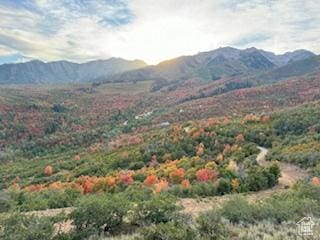 6909 E Spring Mountain Dr E, Springville, UT 84663