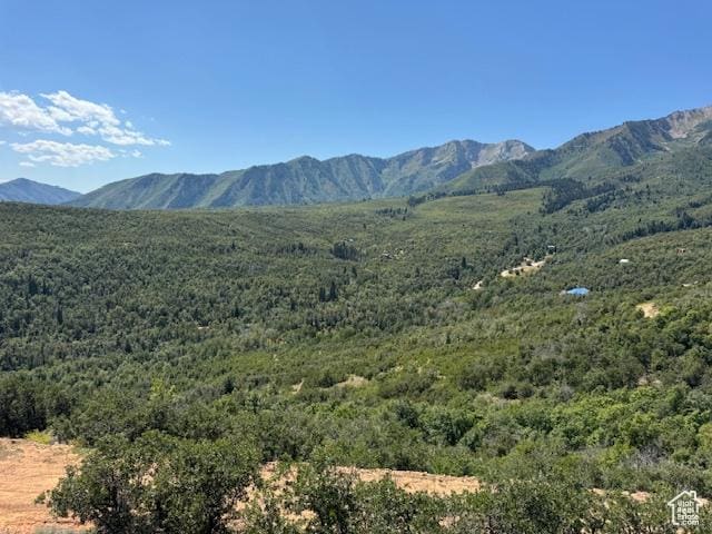 6909 E Spring Mountain Dr E, Springville, UT 84663