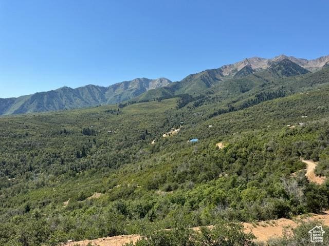 6909 E Spring Mountain Dr E, Springville, UT 84663
