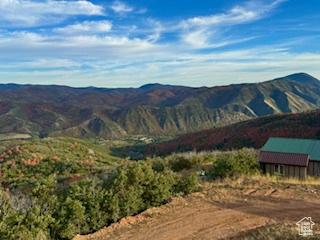 6909 E Spring Mountain Dr E, Springville, UT 84663