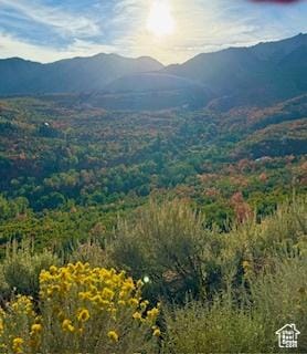 6909 E Spring Mountain Dr E, Springville, UT 84663