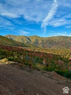 6909 E Spring Mountain Dr E, Springville, UT 84663