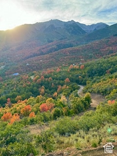 6909 E Spring Mountain Dr E, Springville, UT 84663
