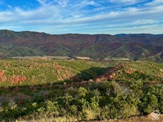 6909 E Spring Mountain Dr E, Springville, UT 84663