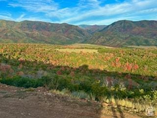 6909 E Spring Mountain Dr E, Springville, UT 84663