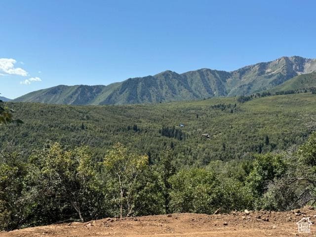 6909 E Spring Mountain Dr E, Springville, UT 84663