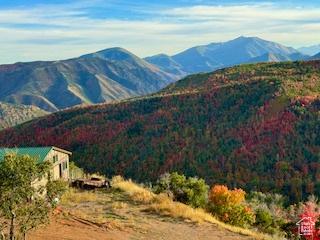 6909 E Spring Mountain Dr E, Springville, UT 84663