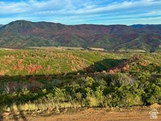 6909 E Spring Mountain Dr E, Springville, UT 84663