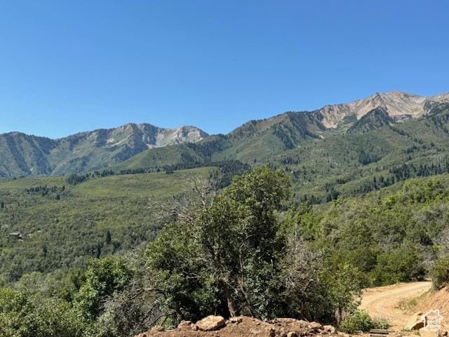 6909 E Spring Mountain Dr E, Springville, UT 84663