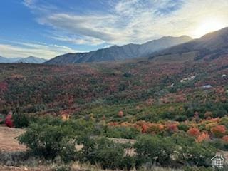 6909 E Spring Mountain Dr E, Springville, UT 84663