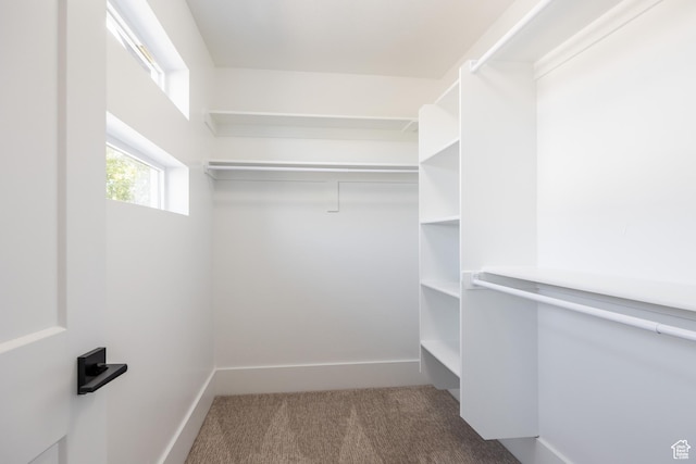 608 E Simpson Ave S, Salt Lake City, UT 84106 - spacious closet featuring carpet floors