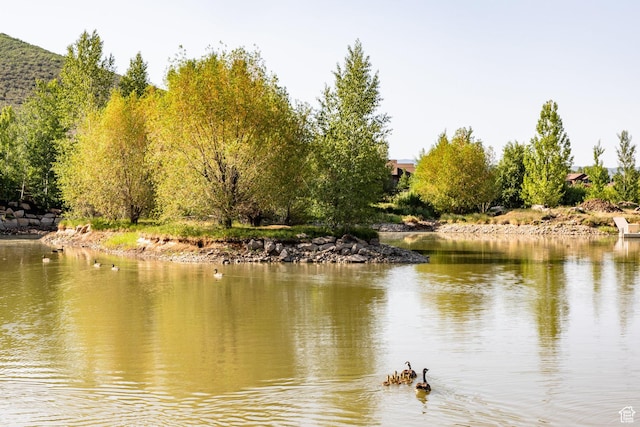property view of water