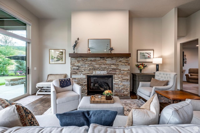 living room featuring wood finished floors and a fireplace
