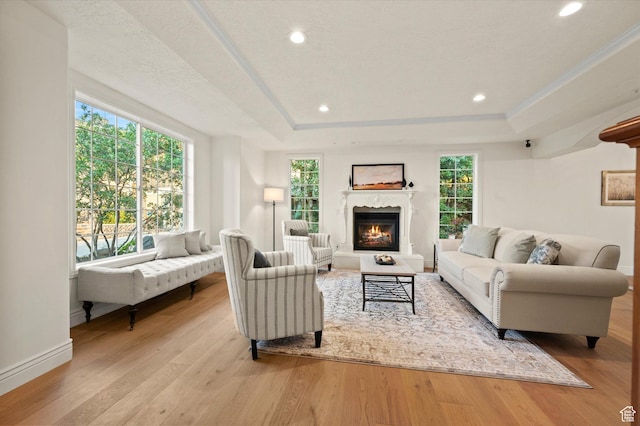 living area with a tray ceiling, a healthy amount of sunlight, and light wood-style floors