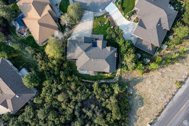 bird's eye view