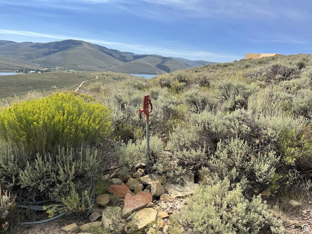49 Aspen Cove Dr Unit 49, Scofield, UT 84526
