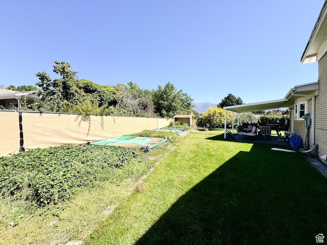 view of yard with a patio