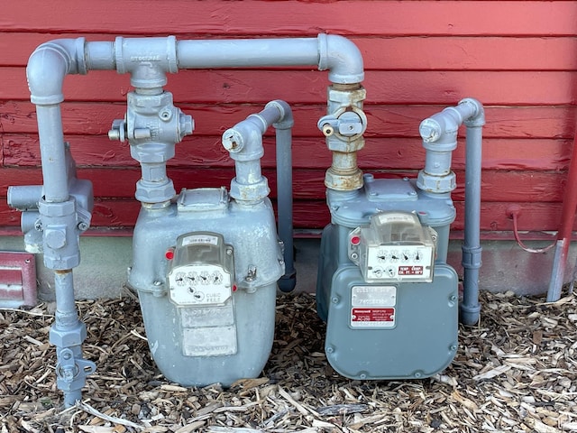 exterior details with gas meter