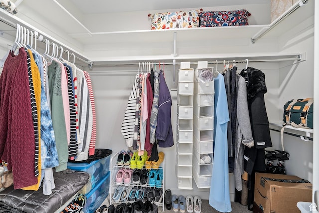 view of walk in closet