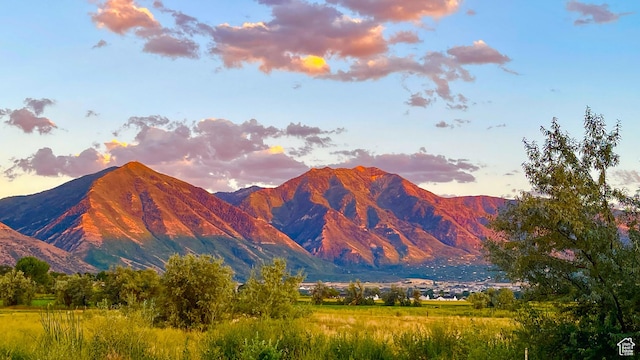 mountain view