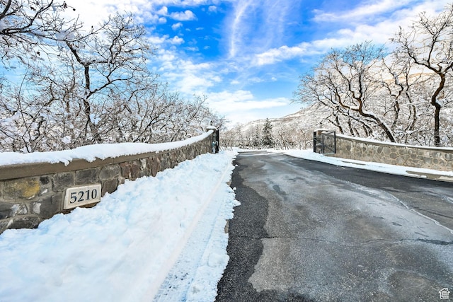 5210 Skyline Pkwy, Ogden, UT 84403 - view of road