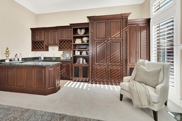 5210 Skyline Pkwy, Ogden, UT 84403 - bar with crown molding, wet bar, light carpet, and a healthy amount of sunlight