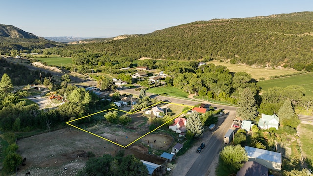 bird's eye view