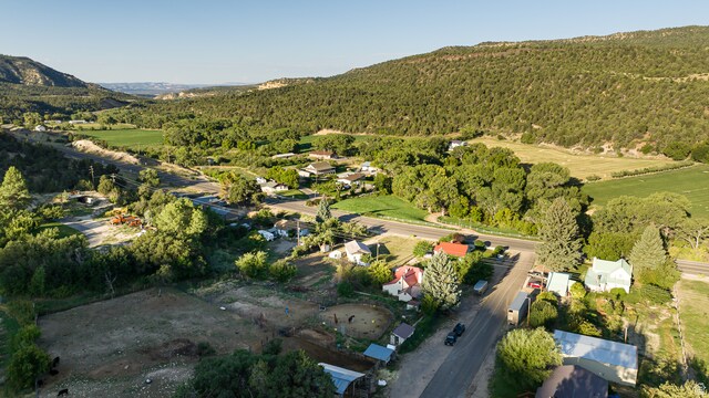 drone / aerial view