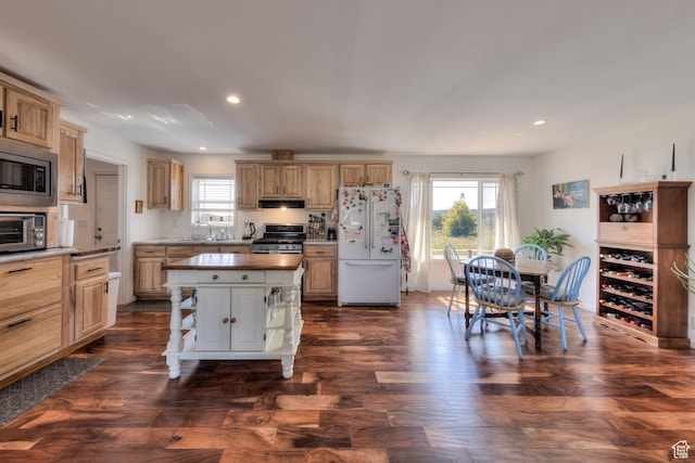 kitchen featuring stainless steel appliances, under cabinet range hood, dark wood-style floors, and plenty of natural light