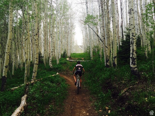 336 Daly Ave Unit A, Park City, UT 84060