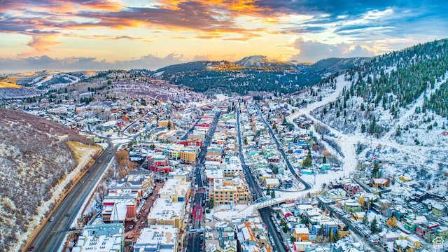 336 Daly Ave Unit A, Park City, UT 84060